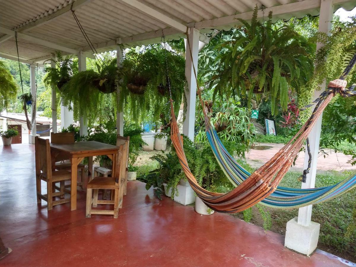 Hostel Villa Silvia Minca Kültér fotó